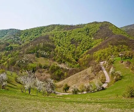 Vila Homoljska Idila1 Banja Zdrelo Petrovac na Mlavi Exterior photo