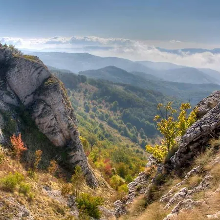 Vila Homoljska Idila1 Banja Zdrelo Petrovac na Mlavi Exterior photo